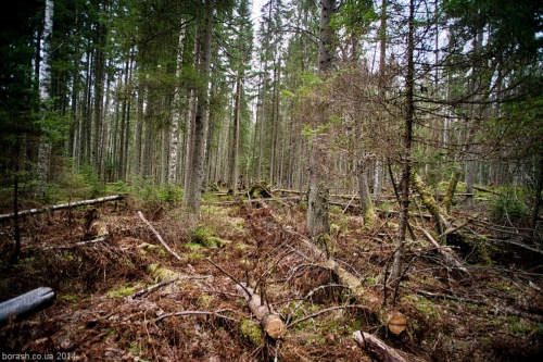 Итоги соревнований Выборгский Микст - 2014 (1-ый этап Кубка России по Ледолазанию, 2-ой этап Кубка Северо-Запада по драйтулингу, Ледолазание/drytoolling, кубок россии, ледолазание, крюконоги, krukonogi.com, nwdc, petzl, krukonogi, трамонтана)