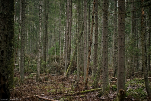 Итоги соревнований Выборгский Микст - 2014 (1-ый этап Кубка России по Ледолазанию, 2-ой этап Кубка Северо-Запада по драйтулингу, Ледолазание/drytoolling, кубок россии, ледолазание, крюконоги, krukonogi.com, nwdc, petzl, krukonogi, трамонтана)