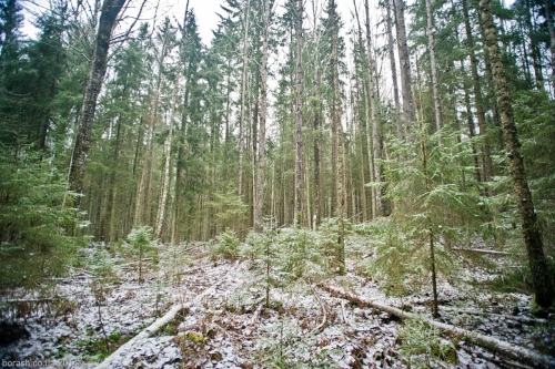 Итоги соревнований Выборгский Микст - 2014 (1-ый этап Кубка России по Ледолазанию, 2-ой этап Кубка Северо-Запада по драйтулингу, Ледолазание/drytoolling, кубок россии, ледолазание, крюконоги, krukonogi.com, nwdc, petzl, krukonogi, трамонтана)