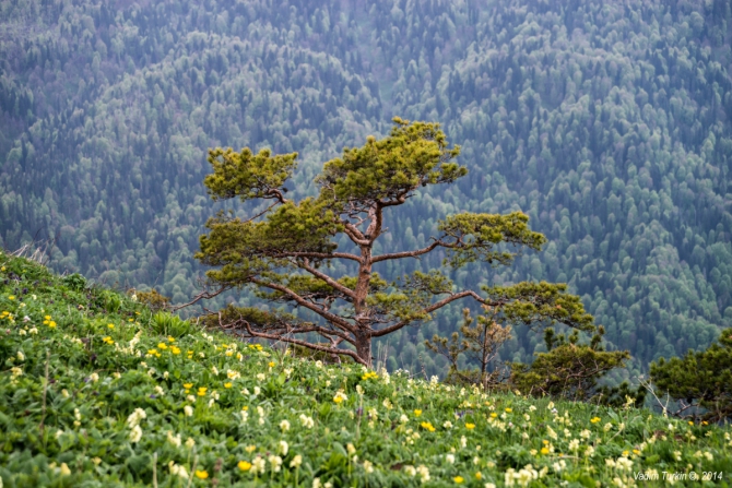 Как мы поМАЙялись. Часть третья: Марафон. (Горный туризм)
