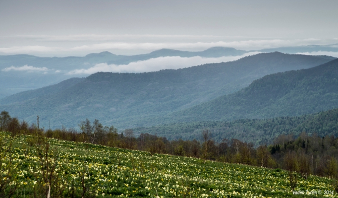 Как мы поМАЙялись. Часть третья: Марафон. (Горный туризм)