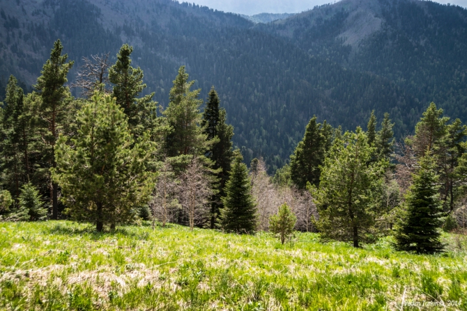 Как мы поМАЙялись. Часть третья: Марафон. (Горный туризм)