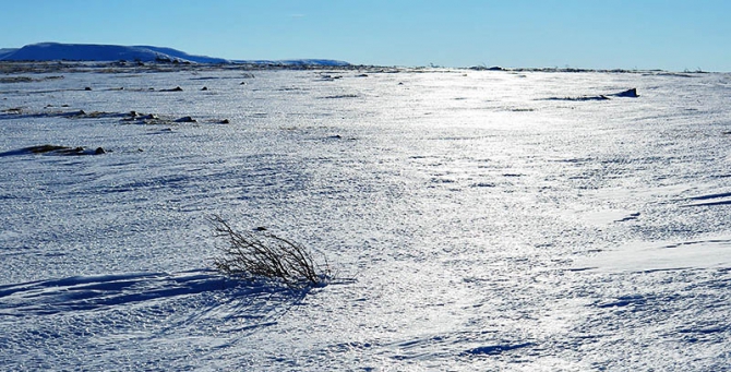 Фрирайд & сноукетскиинг в Приисковом (фоторепорт, Горные лыжи/Сноуборд, сноукеты, Приисковое, приисковый, алекс кузмицкий, Валечка Смирнов, Кузнецкий Алатау)