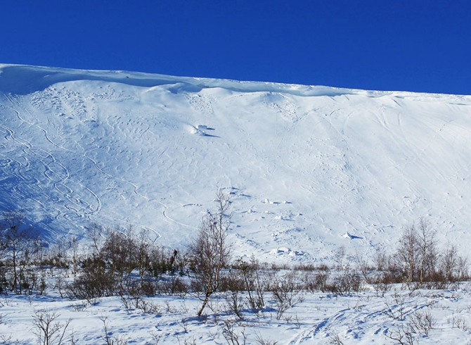 Фрирайд & сноукетскиинг в Приисковом (фоторепорт, Горные лыжи/Сноуборд, сноукеты, Приисковое, приисковый, алекс кузмицкий, Валечка Смирнов, Кузнецкий Алатау)