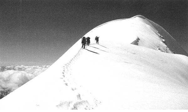 О семье Троновых и их вкладе в исследование Алтая (Альпинизм, альпиниада)