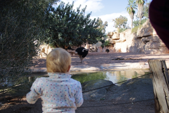 Путешествие в Альбаррасин. Две 8В! (Скалолазание, скалолазание, скалы, боулдеринг, боулдер, 8а, юрий, костин, испания, xclimb)