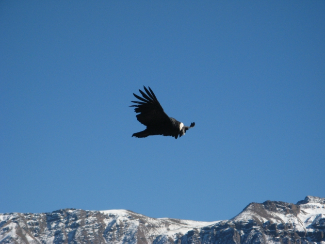 Восхождение на Альпамайо (Alpamayo). 2009г. Отчет о старой поездке (еще раз). (Альпинизм)