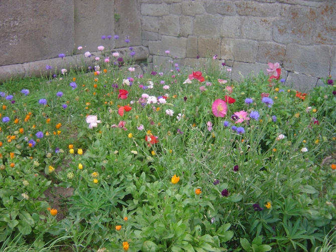 На Казбеке в начале сентября 2014 (Альпинизм)