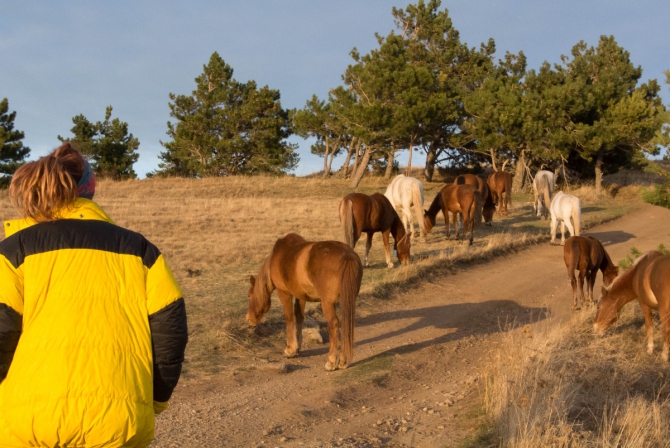 Хайлайны в Крыму по Питерски (слеклайн)