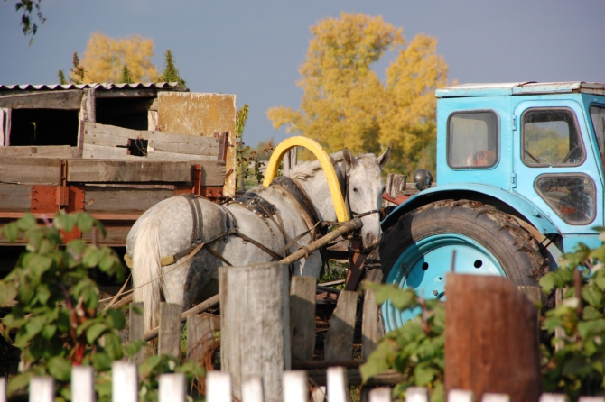 Пробег через XX век (Мультигонки, Топоров А.М., Герман Титов, КЛБ)