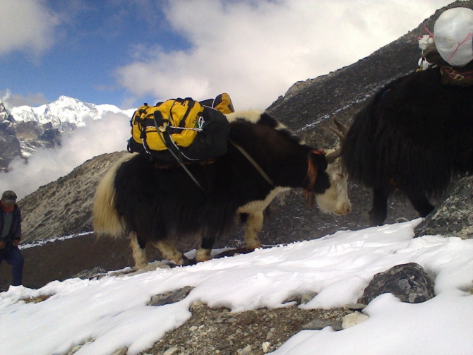 Экспедиция Zamberlan. Непал 01-29 октября 2014 г. Фото и комментарии (Альпинизм, ама-даблам, Karka)