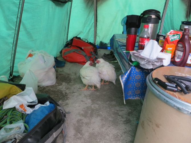 Фото-отчет о поездке команды ФАИС Москвы в Пакистан (Альпинизм, конкурс, 7 вершин, венто, транго)