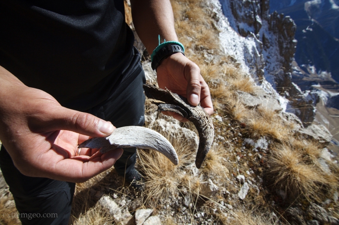 Ингушетия (BASE, бейсджампинг, вингсьют, кавказ)