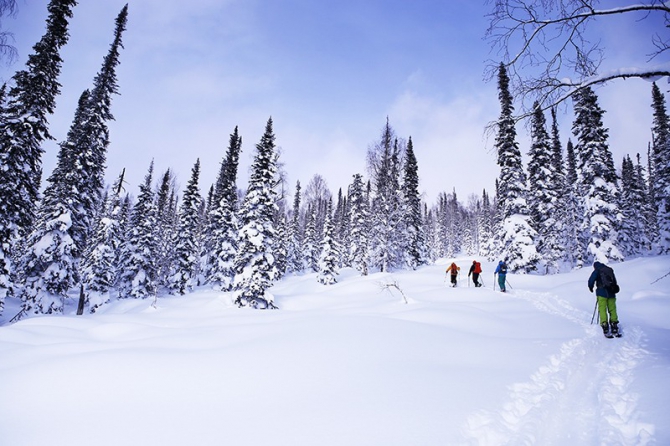 PURE бэккантри в Лужбе (фотоотчет, Горные лыжи/Сноуборд, Лужба, Кузнецкий Алатау, Поднебесные Зубья, скитур, фрирайд, беккантри, алекс кузмицкий, snow sense, приюты, отчеты)