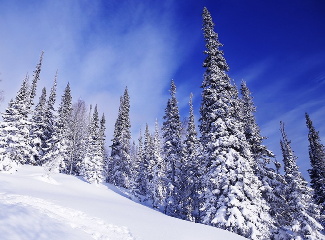 PURE бэккантри в Лужбе (фотоотчет, Горные лыжи/Сноуборд, Лужба, Кузнецкий Алатау, Поднебесные Зубья, скитур, фрирайд, беккантри, алекс кузмицкий, snow sense, приюты, отчеты)