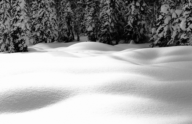 PURE бэккантри в Лужбе (фотоотчет, Горные лыжи/Сноуборд, Лужба, Кузнецкий Алатау, Поднебесные Зубья, скитур, фрирайд, беккантри, алекс кузмицкий, snow sense, приюты, отчеты)