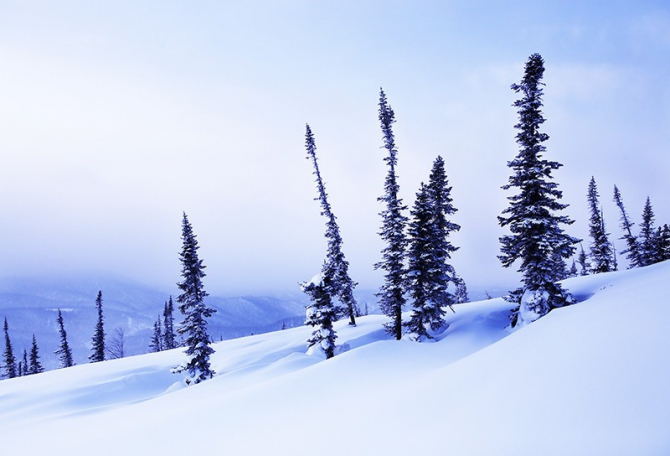 PURE бэккантри в Лужбе (фотоотчет, Горные лыжи/Сноуборд, Лужба, Кузнецкий Алатау, Поднебесные Зубья, скитур, фрирайд, беккантри, алекс кузмицкий, snow sense, приюты, отчеты)