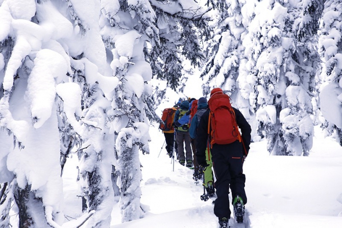 PURE бэккантри в Лужбе (фотоотчет, Горные лыжи/Сноуборд, Лужба, Кузнецкий Алатау, Поднебесные Зубья, скитур, фрирайд, беккантри, алекс кузмицкий, snow sense, приюты, отчеты)