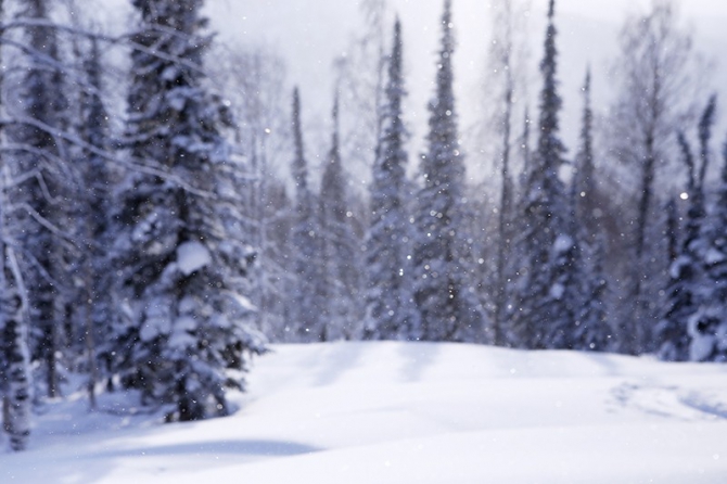 PURE бэккантри в Лужбе (фотоотчет, Горные лыжи/Сноуборд, Лужба, Кузнецкий Алатау, Поднебесные Зубья, скитур, фрирайд, беккантри, алекс кузмицкий, snow sense, приюты, отчеты)