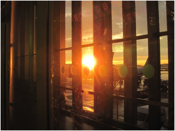 Анна Марголина: про поездку в Китай (нанкин, олимпийские игры, Гуанчжоу, скалолазание)