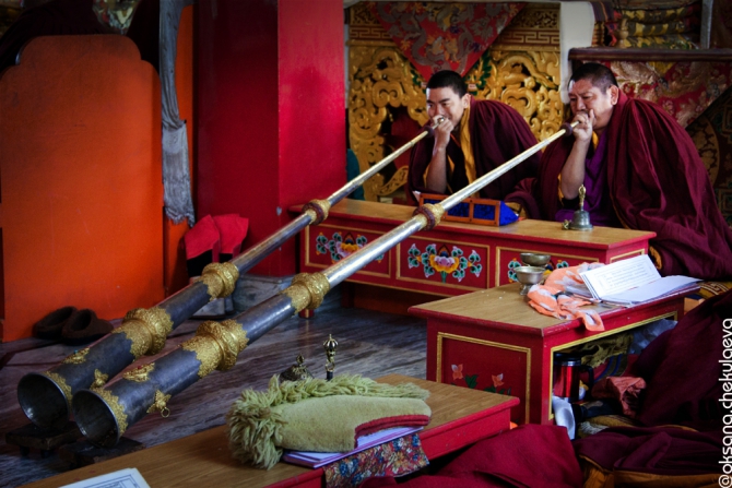 Прогулка по Гималам. В поисках Шамбалы или Poor Man Heli. (Горные лыжи/Сноуборд, бир, бэккантри, гималаи, индия, Манале, параплан, ски-тур, сплит-тур, сплитборд, трекинг)