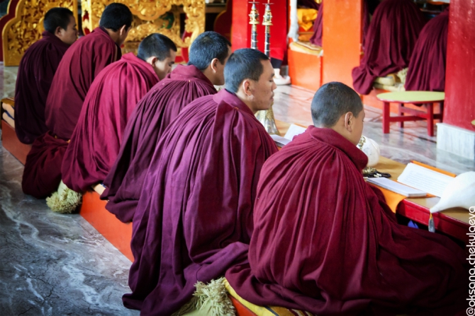 Прогулка по Гималам. В поисках Шамбалы или Poor Man Heli. (Горные лыжи/Сноуборд, бир, бэккантри, гималаи, индия, Манале, параплан, ски-тур, сплит-тур, сплитборд, трекинг)