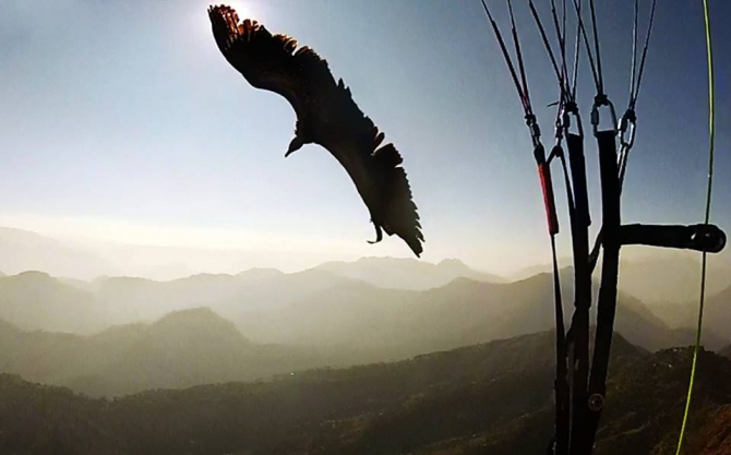 Прогулка по Гималам. В поисках Шамбалы или Poor Man Heli. (Горные лыжи/Сноуборд, бир, бэккантри, гималаи, индия, Манале, параплан, ски-тур, сплит-тур, сплитборд, трекинг)