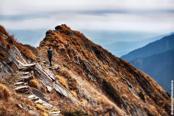 Прогулка по Гималам. В поисках Шамбалы или Poor Man Heli. (Горные лыжи/Сноуборд, бир, бэккантри, гималаи, индия, Манале, параплан, ски-тур, сплит-тур, сплитборд, трекинг)