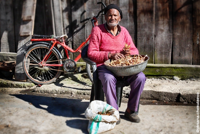 Прогулка по Гималам. В поисках Шамбалы или Poor Man Heli. (Горные лыжи/Сноуборд, бир, бэккантри, гималаи, индия, Манале, параплан, ски-тур, сплит-тур, сплитборд, трекинг)