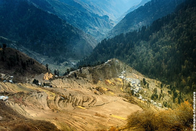 Прогулка по Гималам. В поисках Шамбалы или Poor Man Heli. (Горные лыжи/Сноуборд, бир, бэккантри, гималаи, индия, Манале, параплан, ски-тур, сплит-тур, сплитборд, трекинг)