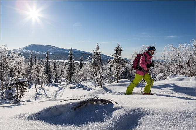 Партизанский путь к фрирайду, фридайву, фри_хорсу. Вольница Кати Коровиной. (Бэккантри/Фрирайд, коровина, жюльбо, лыжи)