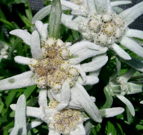 Виталия Томчика с днем рождения!! (Путешествия, виталий томчик, наши авторы, отмечаем)