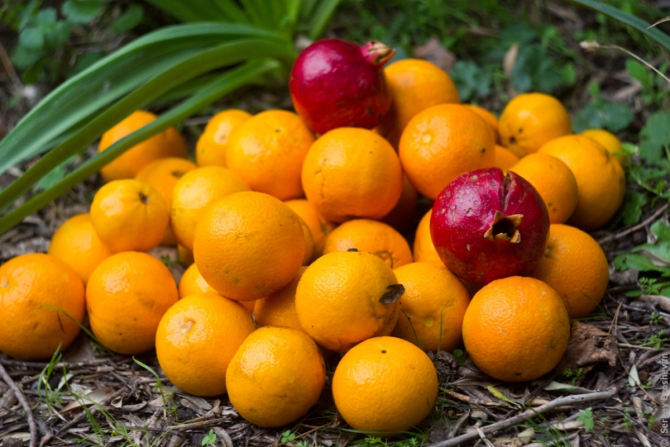 Ликийская тропа на Новый год, Турция. Отчет (Горный туризм, анталия, брошеван, ЭкстримГид, поход)