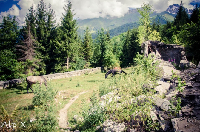 Альплагерь "Сванетия" (Альпинизм, местиа, местия, грузия)