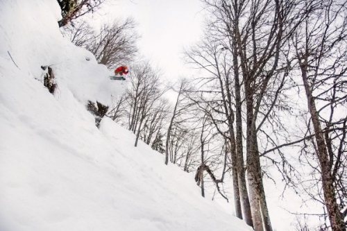 Тесты лыж от Андрея Арсеева