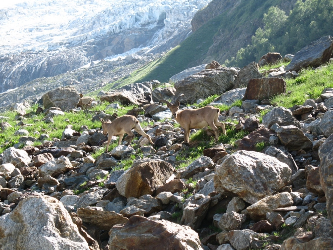 РЕКВИЕМ (Альпинизм, олег бабин, анатолий губарь, домбай, алибек, сулахат, сборы донецкой областной федерации 2008 года)
