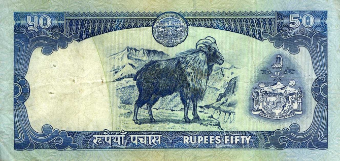 Музей альпинизма. 4. Боны и монеты.