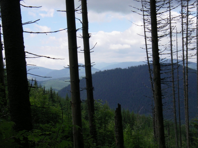 "Военный" десант в Карпатах. (страйкбол, карпаты, июль 2008г)