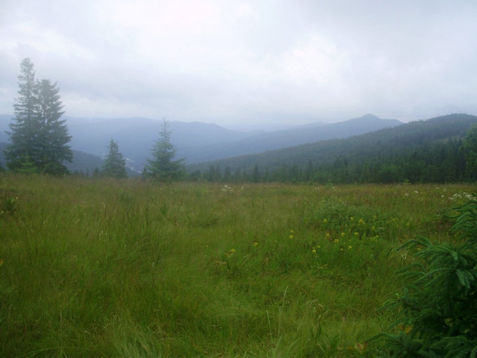 "Военный" десант в Карпатах. (страйкбол, карпаты, июль 2008г)