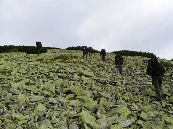 "Военный" десант в Карпатах. (страйкбол, карпаты, июль 2008г)
