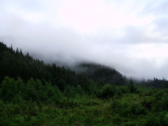 "Военный" десант в Карпатах. (страйкбол, карпаты, июль 2008г)