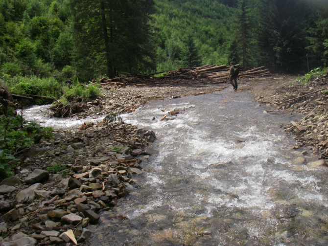 "Военный" десант в Карпатах. (страйкбол, карпаты, июль 2008г)