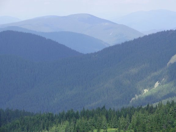"Военный" десант в Карпатах. (страйкбол, карпаты, июль 2008г)