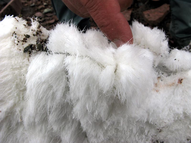 По ледопадам Восточного Заалая (Альпинизм, курумды, памир, маи, восточный кызылсу)