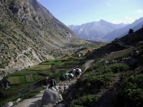 Новости от экспедиции India Mahindra 2008 (Альпинизм, индия, экспедиция, первопрохождение, махиндра, цска им. демченко)