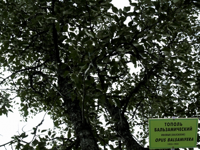 Соловки. В поисках вдохновения... (Путешествия, путешествия)