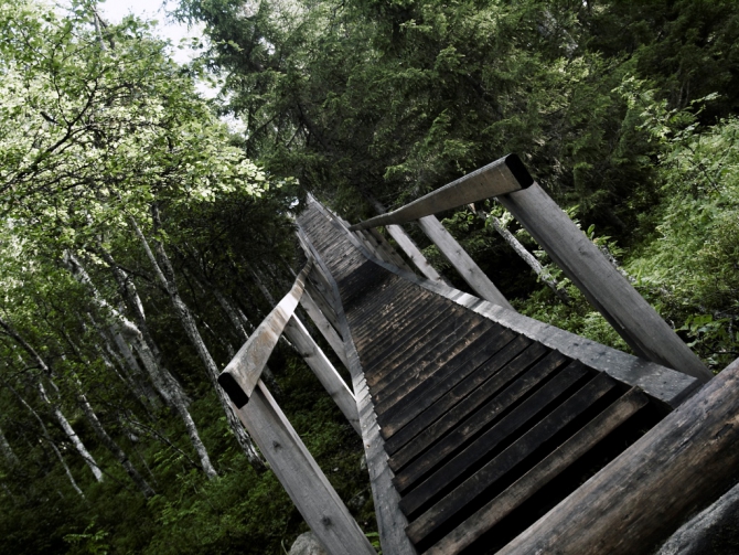Соловки. В поисках вдохновения... (Путешествия, путешествия)
