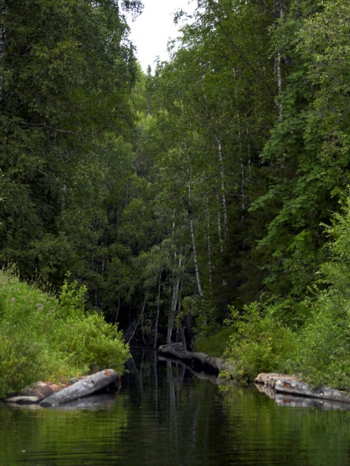 Соловки. В поисках вдохновения... (Путешествия, путешествия)
