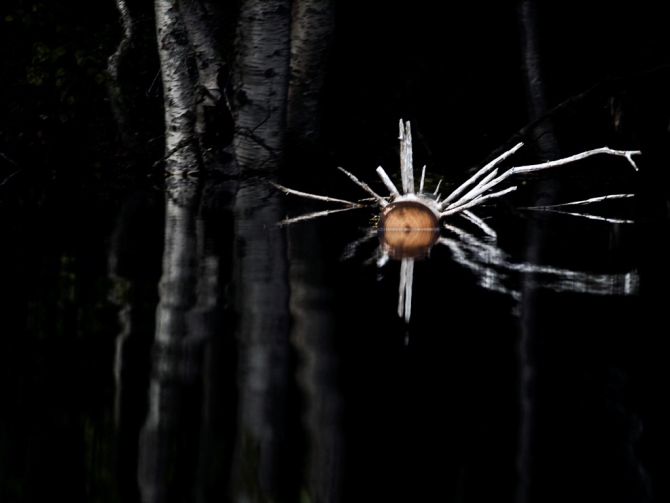 Соловки. В поисках вдохновения... (Путешествия, путешествия)