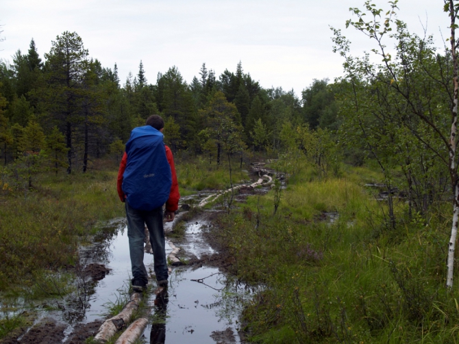 Соловки. В поисках вдохновения... (Путешествия, путешествия)